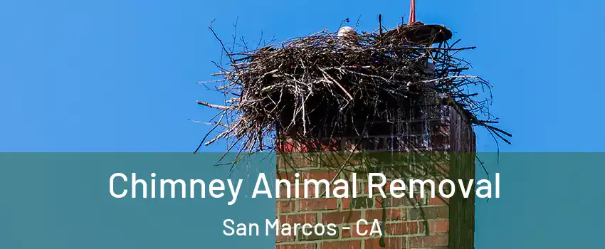 Chimney Animal Removal San Marcos - CA