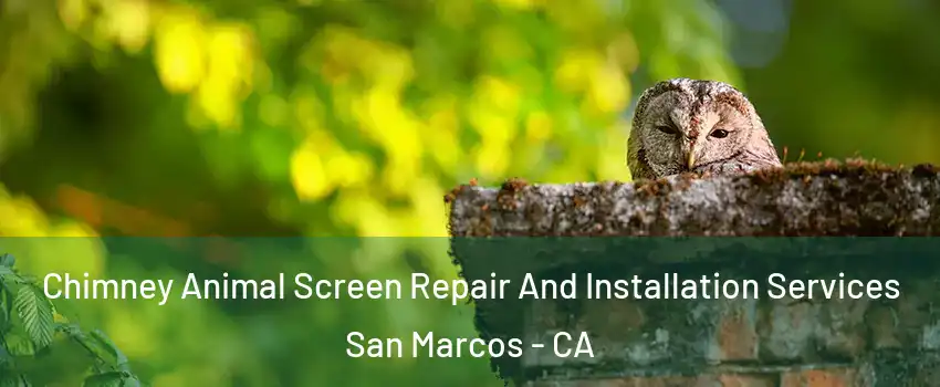  Chimney Animal Screen Repair And Installation Services San Marcos - CA