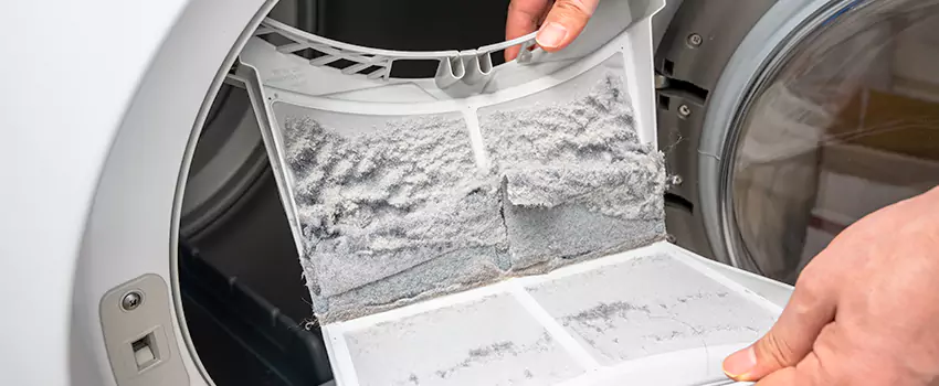 Best Dryer Lint Removal Company in San Marcos, California