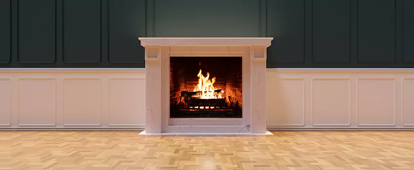 Napoleon Electric Fireplaces Inspection Service in San Marcos, California