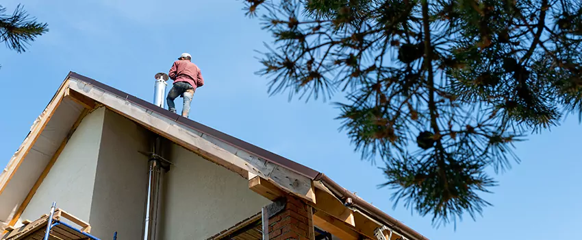 Birds Removal Contractors from Chimney in San Marcos, CA