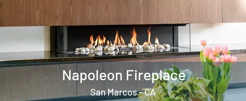  Napoleon Fireplace San Marcos - CA